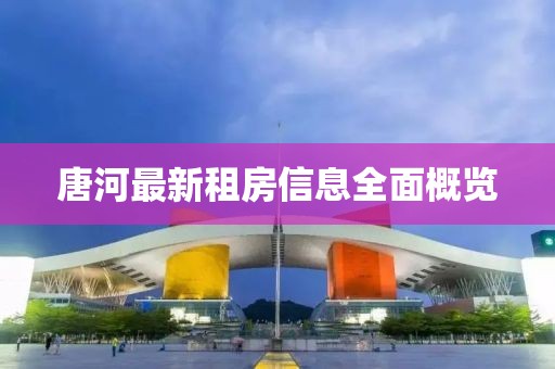 唐河最新租房信息全面概覽