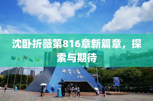 沈臥折薇第816章新篇章，探索與期待