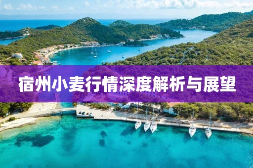 宿州小麥行情深度解析與展望