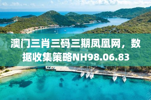 澳門三肖三碼三期鳳凰網(wǎng)，數(shù)據(jù)收集策略NH98.06.83