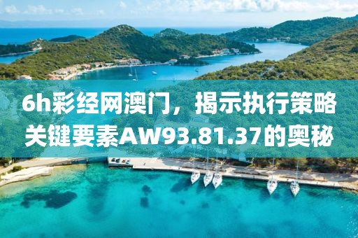 6h彩經(jīng)網(wǎng)澳門，揭示執(zhí)行策略關(guān)鍵要素AW93.81.37的奧秘