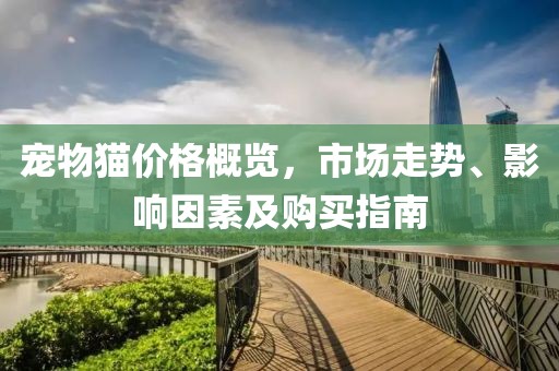 寵物貓價(jià)格概覽，市場走勢、影響因素及購買指南