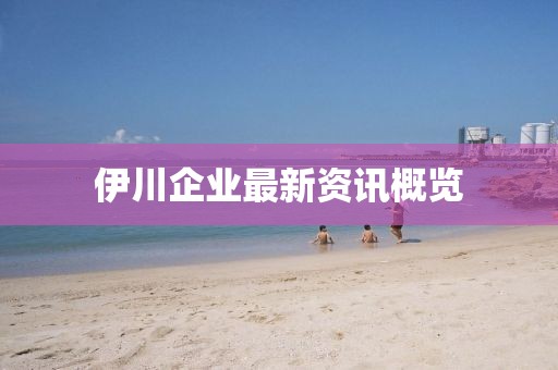 伊川企業(yè)最新資訊概覽