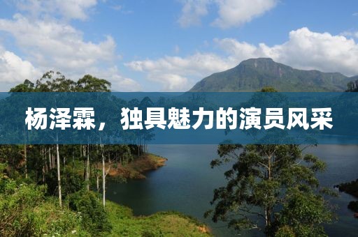 楊澤霖，獨(dú)具魅力的演員風(fēng)采