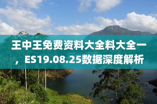 王中王免費(fèi)資料大全料大全一，ES19.08.25數(shù)據(jù)深度解析