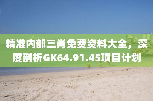 精準(zhǔn)內(nèi)部三肖免費(fèi)資料大全，深度剖析GK64.91.45項(xiàng)目計(jì)劃