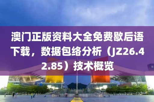 澳門正版資料大全免費歇后語下載，數(shù)據(jù)包絡(luò)分析（JZ26.42.85）技術(shù)概覽
