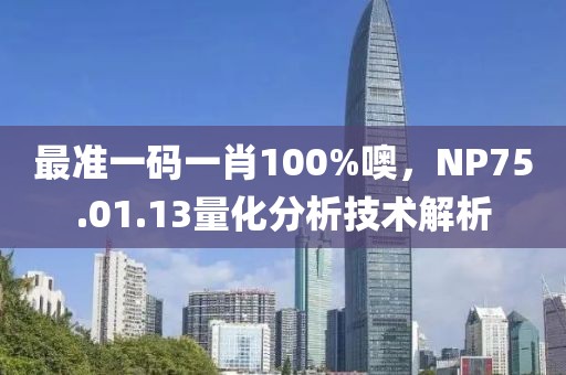 最準(zhǔn)一碼一肖100%噢，NP75.01.13量化分析技術(shù)解析