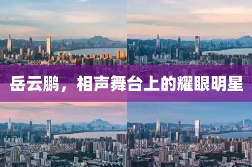 岳云鵬，相聲舞臺上的耀眼明星