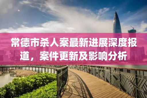 常德市殺人案最新進展深度報道，案件更新及影響分析