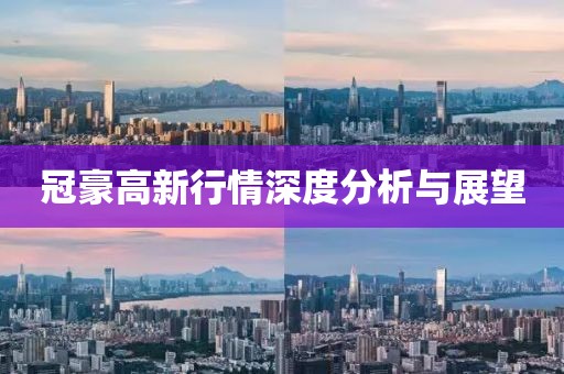 冠豪高新行情深度分析與展望