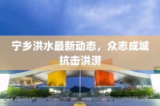 寧鄉(xiāng)洪水最新動態(tài)，眾志成城抗擊洪澇