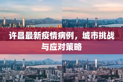 許昌最新疫情病例，城市挑戰(zhàn)與應(yīng)對策略