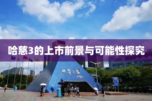 哈慈3的上市前景與可能性探究