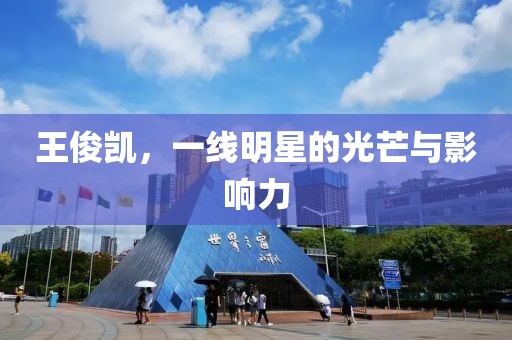 王俊凱，一線明星的光芒與影響力