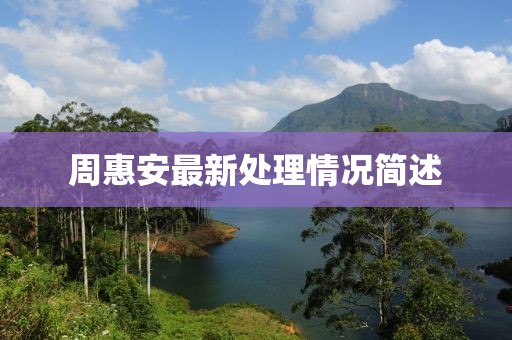 周惠安最新處理情況簡(jiǎn)述