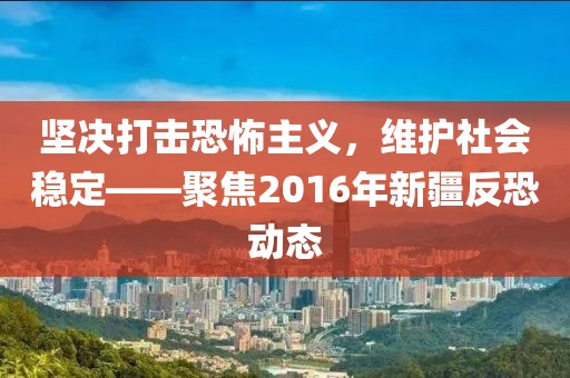 堅(jiān)決打擊恐怖主義，維護(hù)社會穩(wěn)定——聚焦2016年新疆反恐動態(tài)