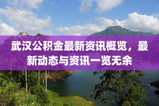 武漢公積金最新資訊概覽，最新動態(tài)與資訊一覽無余