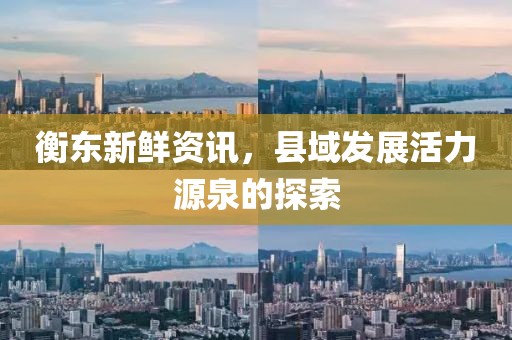 衡東新鮮資訊，縣域發(fā)展活力源泉的探索