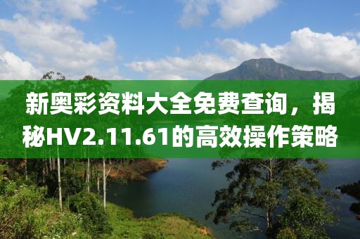 新奧彩資料大全免費(fèi)查詢，揭秘HV2.11.61的高效操作策略