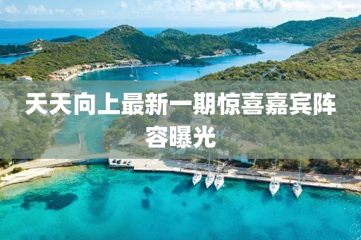 天天向上最新一期驚喜嘉賓陣容曝光