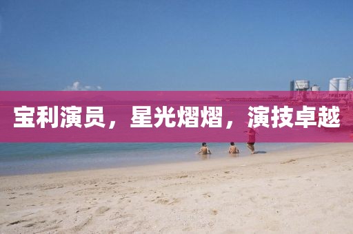 寶利演員，星光熠熠，演技卓越