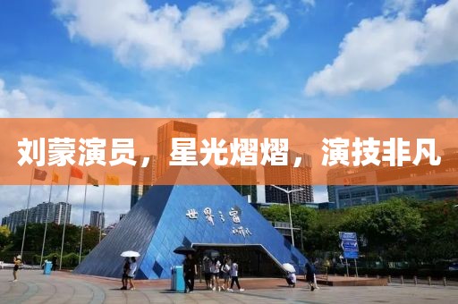 劉蒙演員，星光熠熠，演技非凡