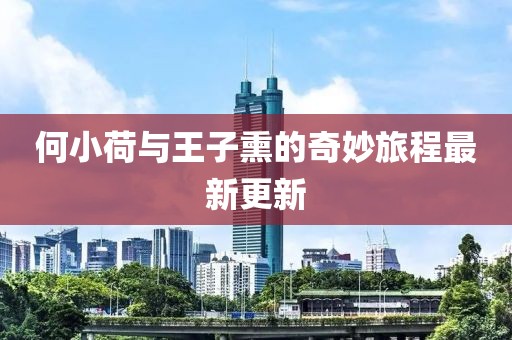何小荷與王子熏的奇妙旅程最新更新