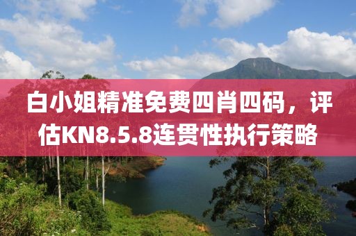 白小姐精準(zhǔn)免費(fèi)四肖四碼，評估KN8.5.8連貫性執(zhí)行策略