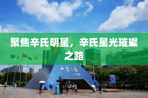 聚焦辛氏明星，辛氏星光璀璨之路