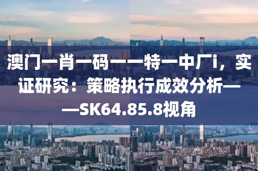 澳門一肖一碼一一特一中廠i，實證研究：策略執(zhí)行成效分析——SK64.85.8視角