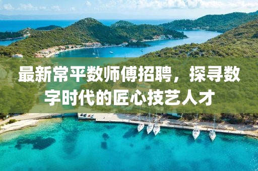 最新常平數(shù)師傅招聘，探尋數(shù)字時(shí)代的匠心技藝人才