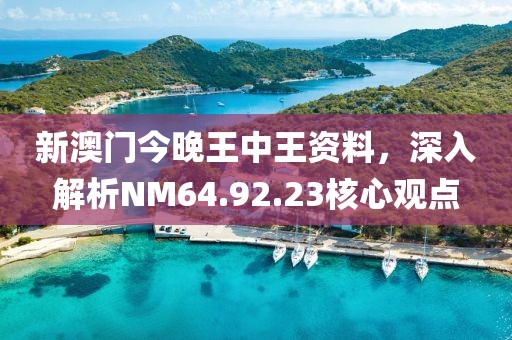 新澳門今晚王中王資料，深入解析NM64.92.23核心觀點(diǎn)