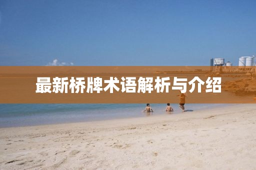 最新橋牌術(shù)語(yǔ)解析與介紹