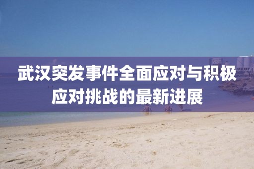 武漢突發(fā)事件全面應(yīng)對(duì)與積極應(yīng)對(duì)挑戰(zhàn)的最新進(jìn)展