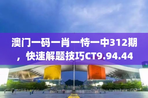 澳門一碼一肖一恃一中312期，快速解題技巧CT9.94.44