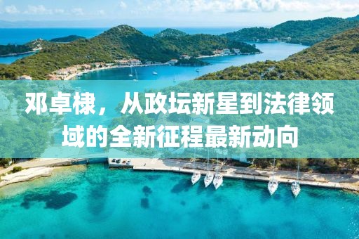 鄧卓棣，從政壇新星到法律領域的全新征程最新動向