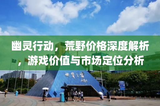 幽靈行動，荒野價格深度解析，游戲價值與市場定位分析