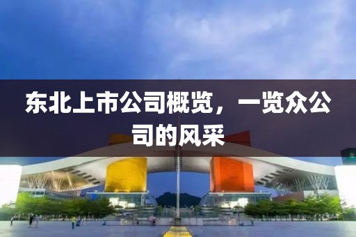 東北上市公司概覽，一覽眾公司的風(fēng)采