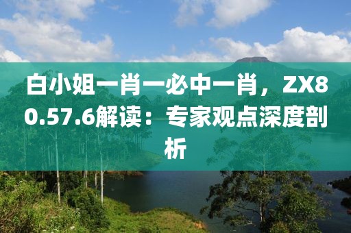 白小姐一肖一必中一肖，ZX80.57.6解讀：專家觀點深度剖析