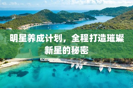 明星養(yǎng)成計(jì)劃，全程打造璀璨新星的秘密