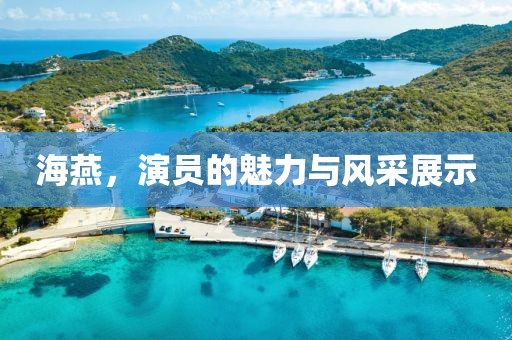 海燕，演員的魅力與風(fēng)采展示