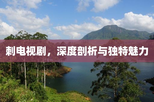 刺電視劇，深度剖析與獨(dú)特魅力