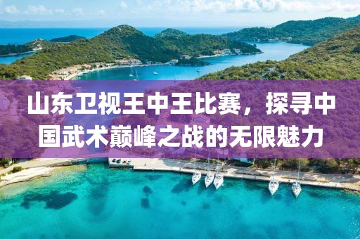 山東衛(wèi)視王中王比賽，探尋中國武術巔峰之戰(zhàn)的無限魅力