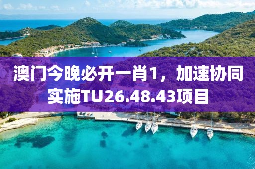 澳門今晚必開一肖1，加速協(xié)同實施TU26.48.43項目