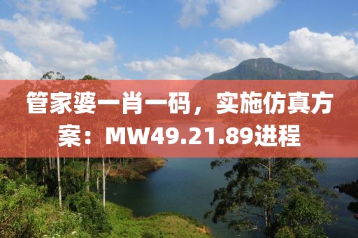 管家婆一肖一碼，實(shí)施仿真方案：MW49.21.89進(jìn)程