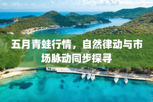 五月青蛙行情，自然律動與市場脈動同步探尋