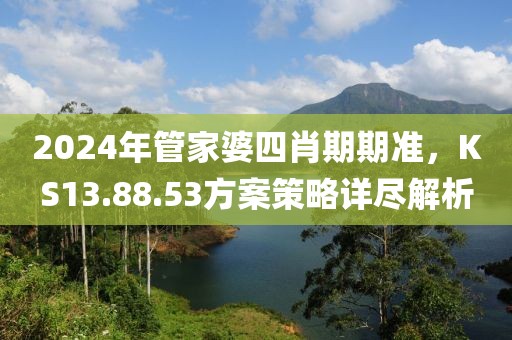 2024年管家婆四肖期期準，KS13.88.53方案策略詳盡解析