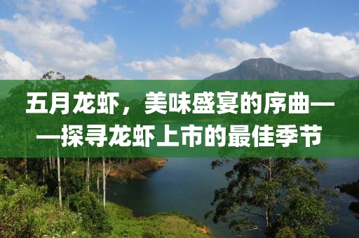五月龍蝦，美味盛宴的序曲——探尋龍蝦上市的最佳季節(jié)