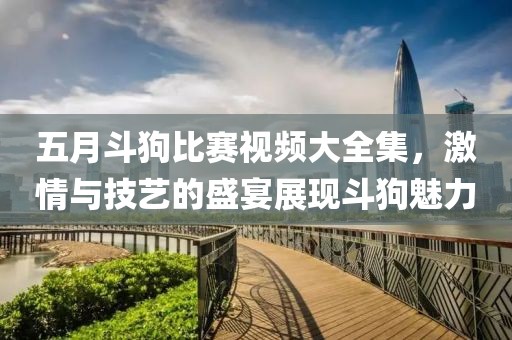 五月斗狗比賽視頻大全集，激情與技藝的盛宴展現(xiàn)斗狗魅力